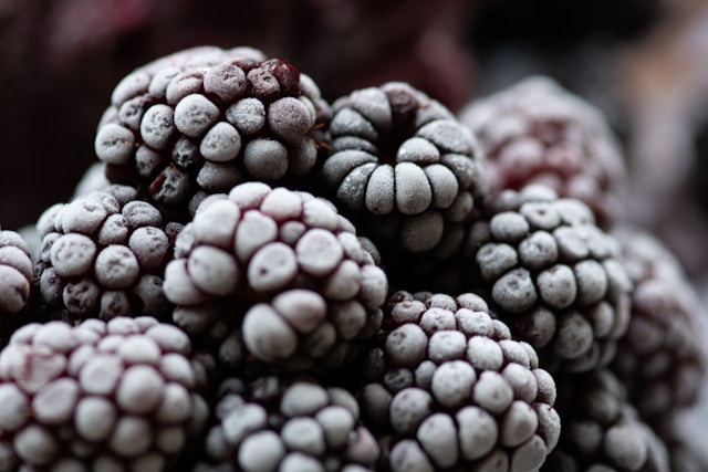 Fruit